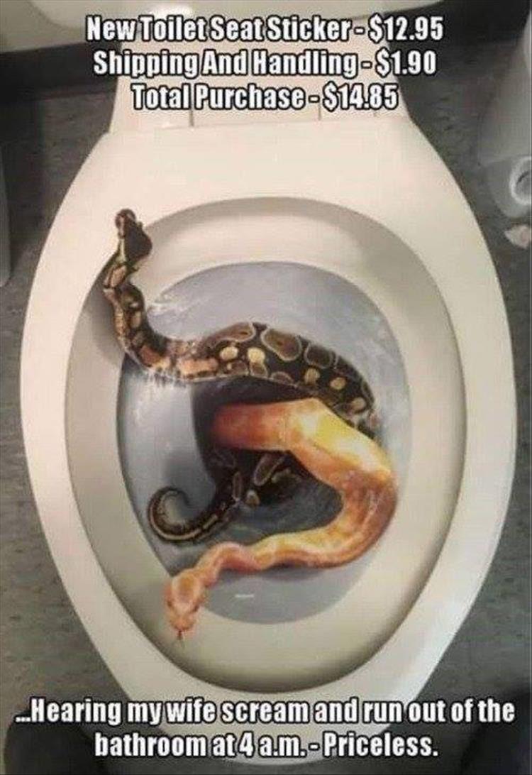 Name:  SNAKE STICKER.jpg
Views: 1139
Size:  97.4 KB