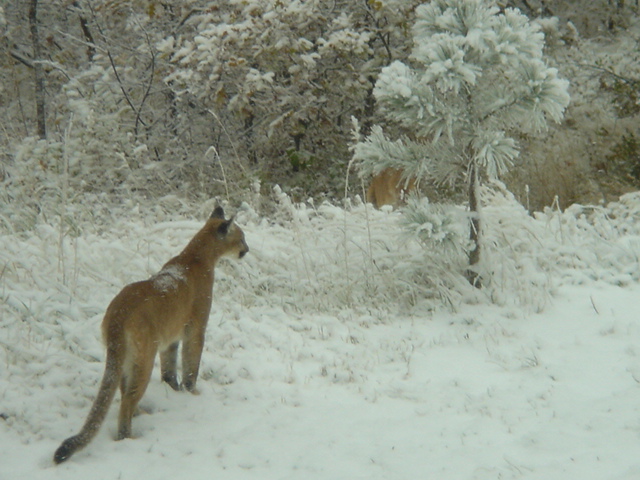 Name:  image00333.jpg
Views: 647
Size:  149.2 KB