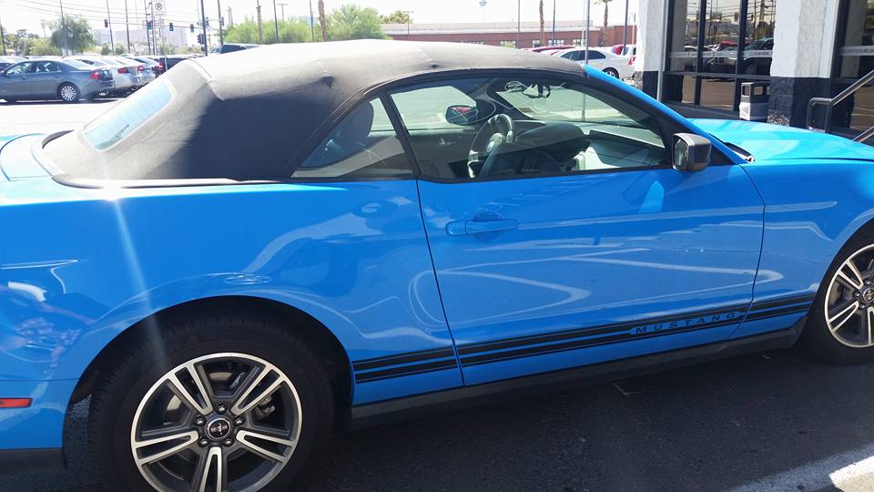 Name:  Mikey's love.jpg
Views: 545
Size:  71.0 KB