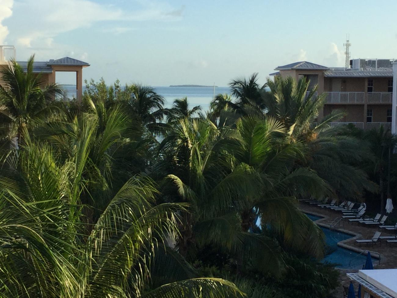 Name:  image.jpg
Views: 633
Size:  171.8 KB