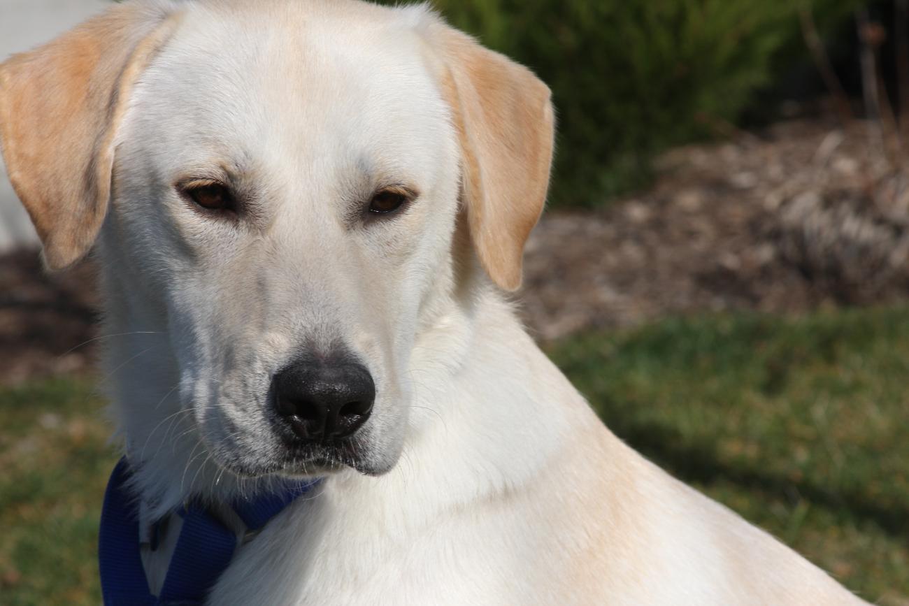 Name:  IMG_5760.jpg
Views: 2566
Size:  95.0 KB