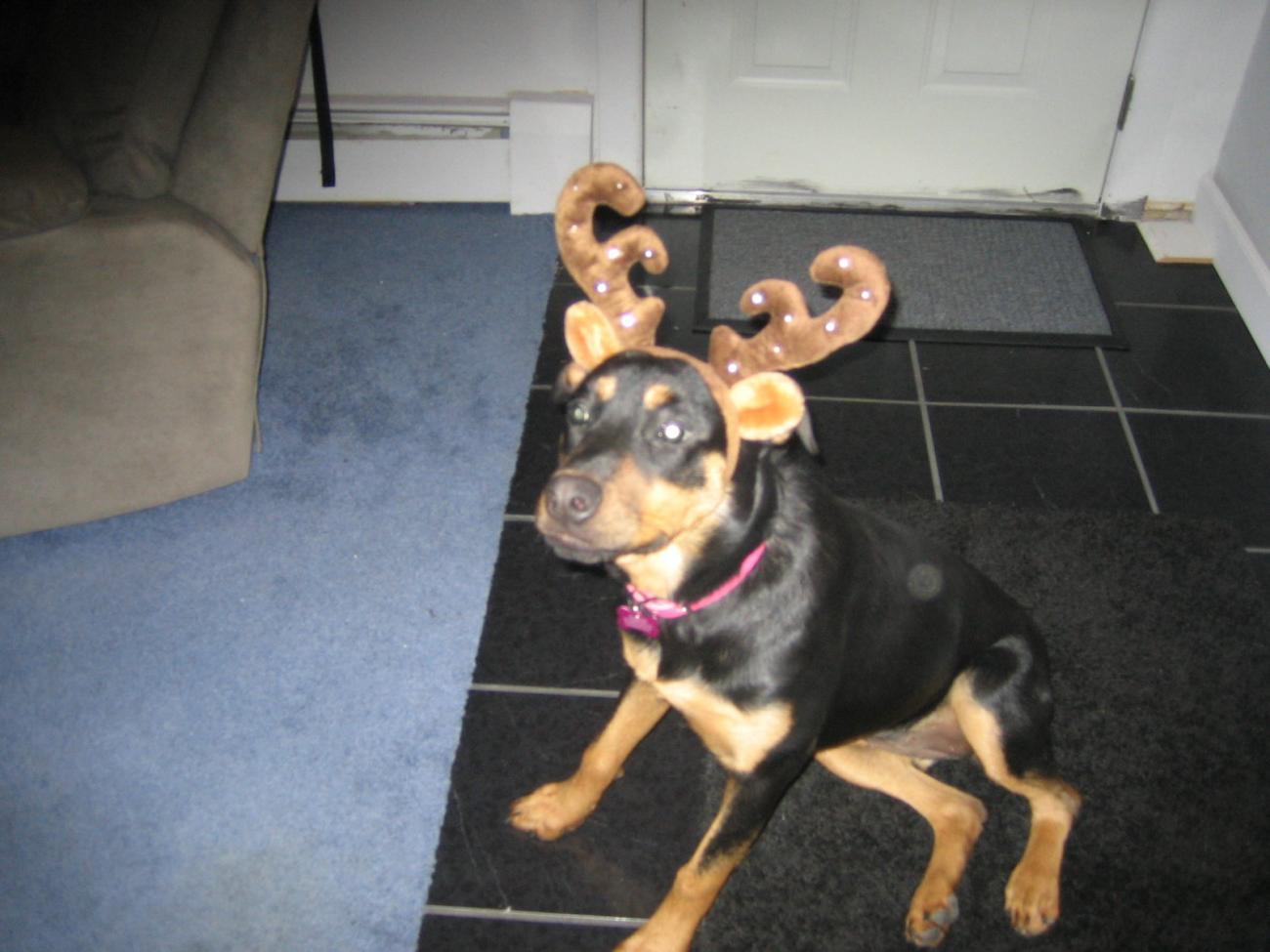 Name:  11-25-05.jpg
Views: 997
Size:  106.6 KB