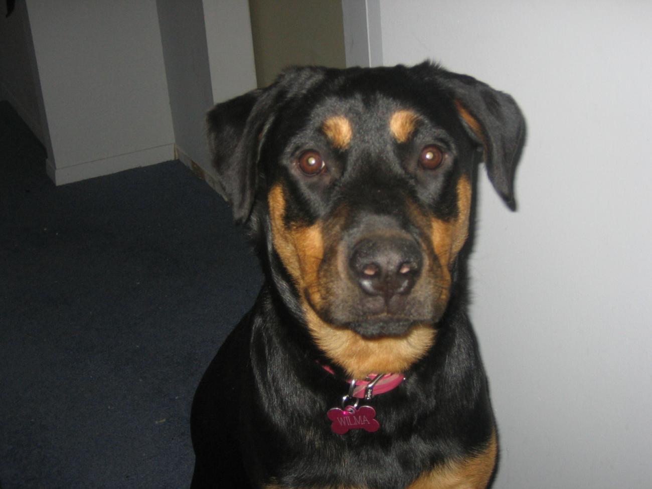 Name:  IMG_0618.jpg
Views: 995
Size:  90.4 KB