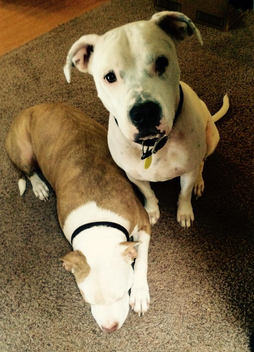 Name:  IMG_1585.jpg
Views: 1907
Size:  165.8 KB