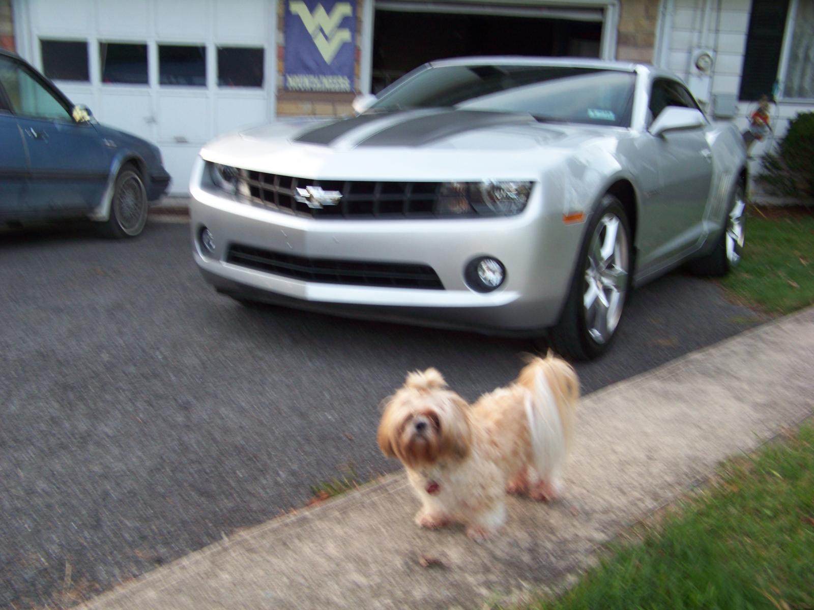 Name:  11112013 007.jpg
Views: 1999
Size:  177.1 KB