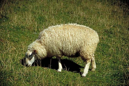 Name:  035l.jpg
Views: 265
Size:  48.6 KB