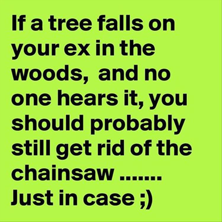 Name:  tree-falls-on-your-ex.jpg
Views: 1309
Size:  70.9 KB