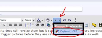 Name:  Capture (1).JPG
Views: 408
Size:  18.6 KB