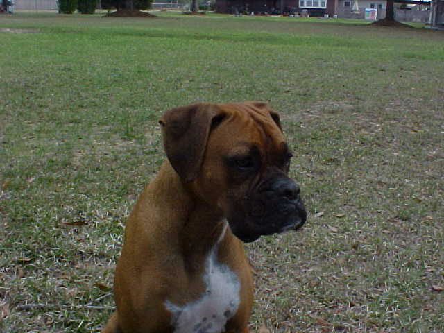 Name:  MVC-023S.JPG
Views: 958
Size:  40.8 KB