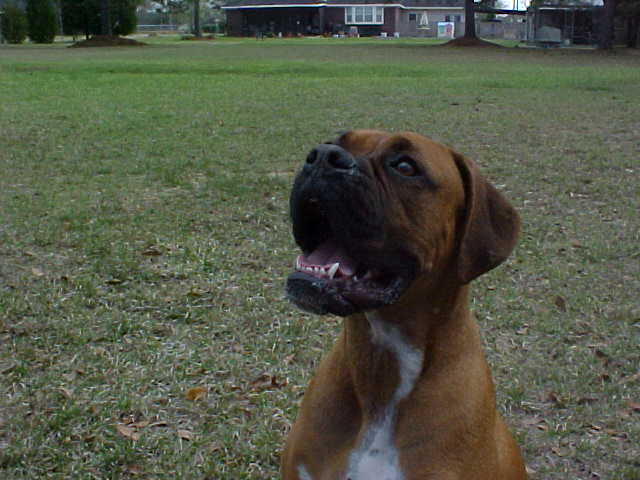 Name:  MVC-024S.JPG
Views: 991
Size:  39.8 KB