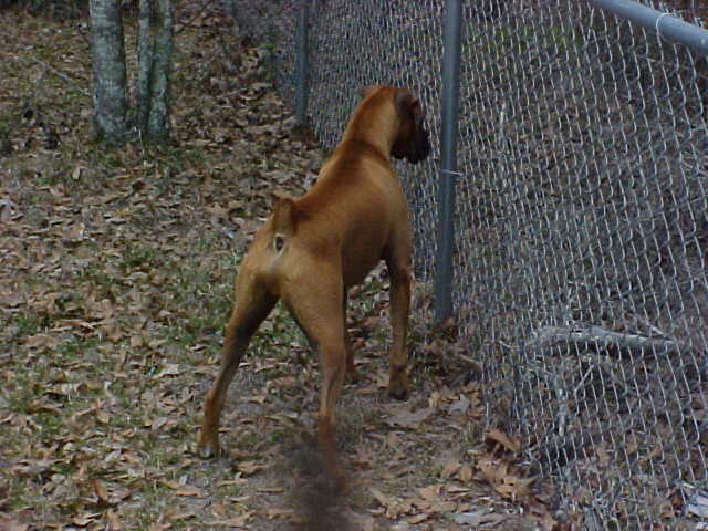 Name:  MVC-016S.JPG
Views: 978
Size:  54.5 KB