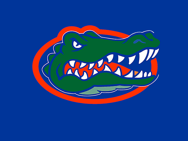 Name:  640x480.gif
Views: 472
Size:  26.2 KB