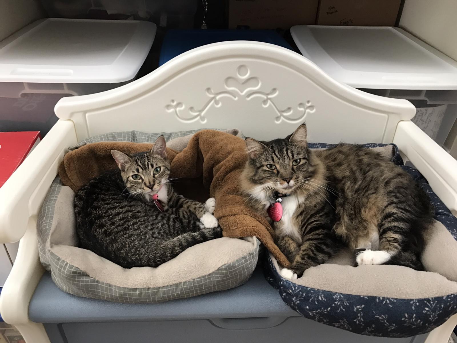 Name:  IMG_0161.jpg
Views: 369
Size:  208.7 KB