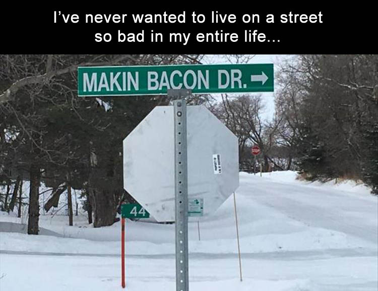 Name:  BACON DRIVE.jpg
Views: 1015
Size:  80.3 KB