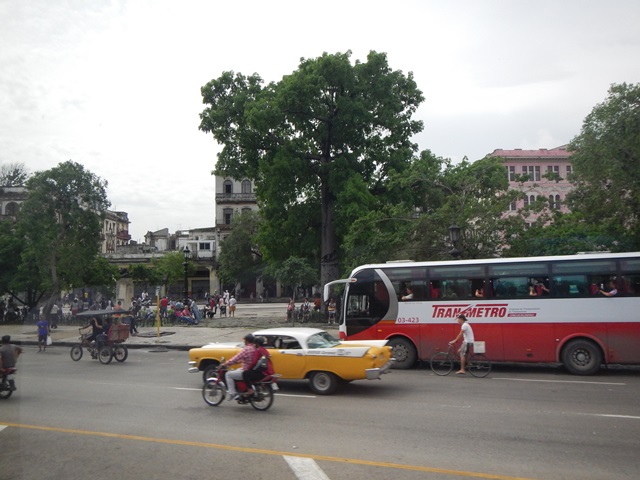 Name:  073.JPG
Views: 402
Size:  118.4 KB