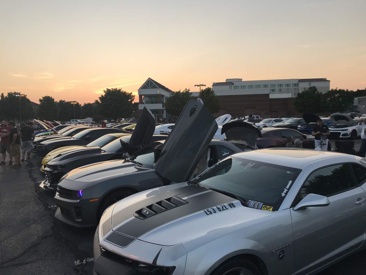 Name:  IMG_0245.JPG
Views: 2065
Size:  96.1 KB