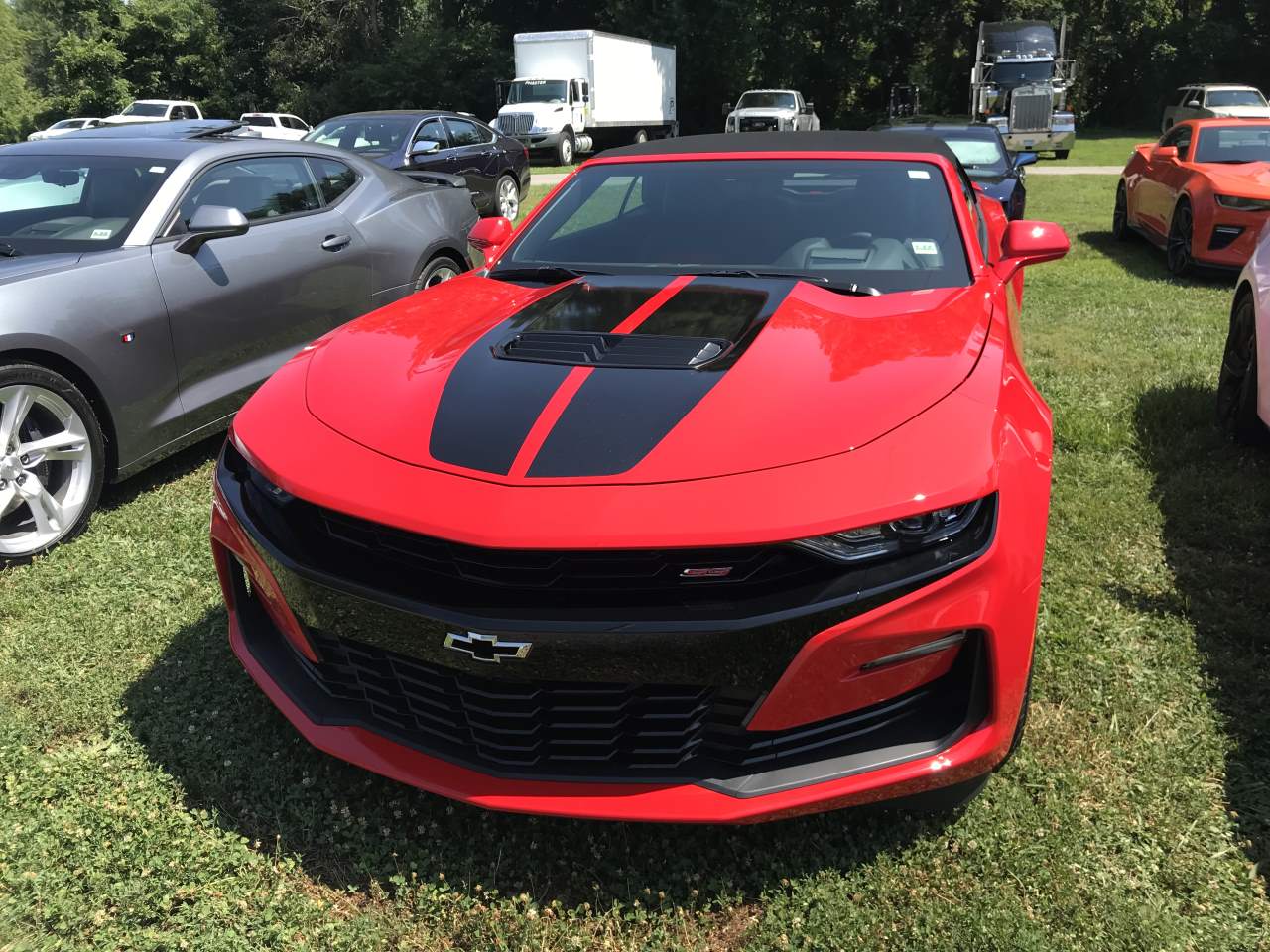 Name:  IMG_0366.JPG
Views: 2028
Size:  197.5 KB