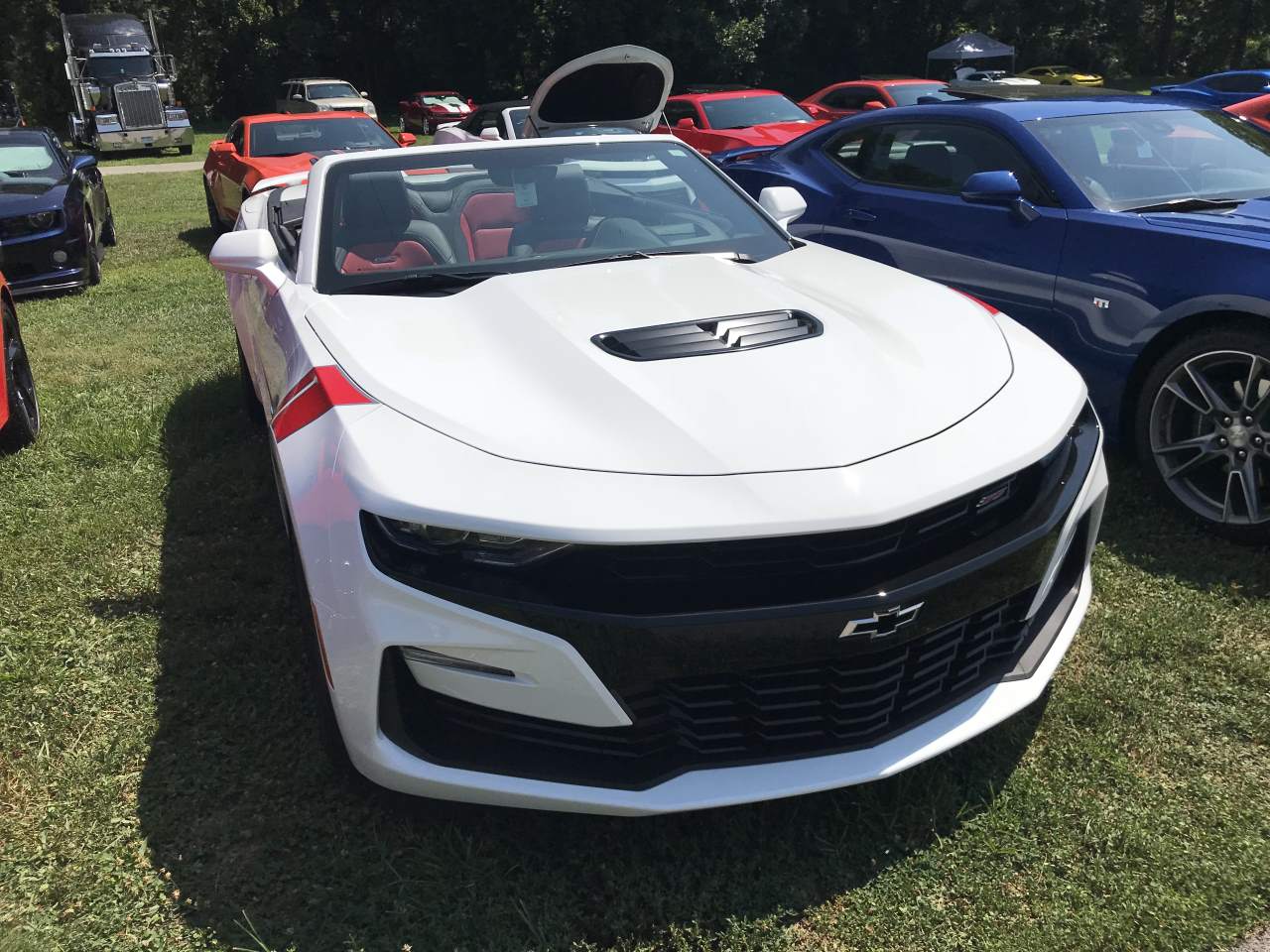 Name:  IMG_0367.JPG
Views: 1956
Size:  174.6 KB