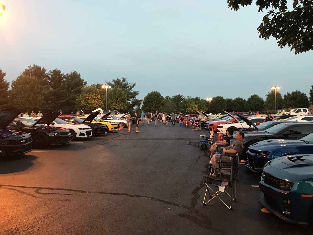 Name:  IMG_0381.JPG
Views: 2020
Size:  116.3 KB