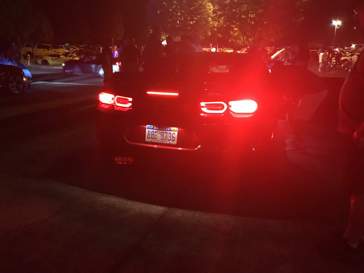 Name:  IMG_0383.JPG
Views: 2093
Size:  59.2 KB