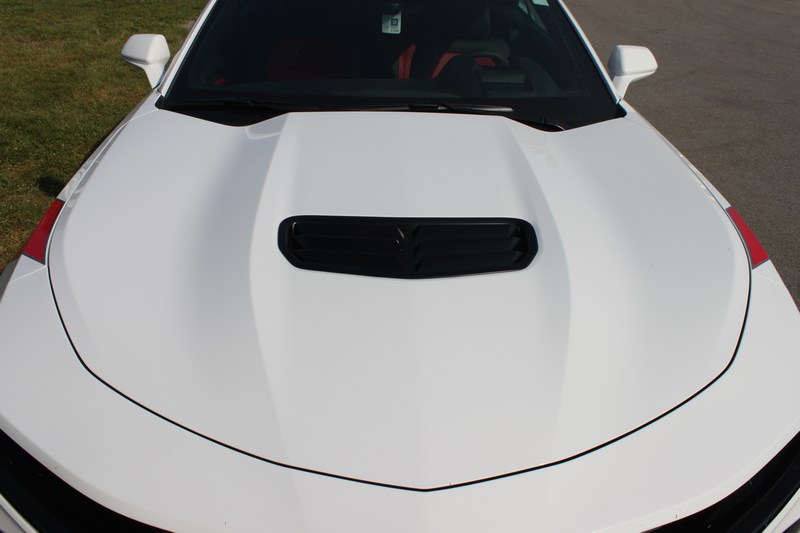 Name:  mini-IMG_9378.JPG
Views: 5162
Size:  46.6 KB