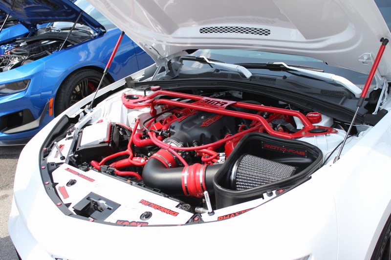 Name:  mini-IMG_9995.JPG
Views: 4883
Size:  112.5 KB