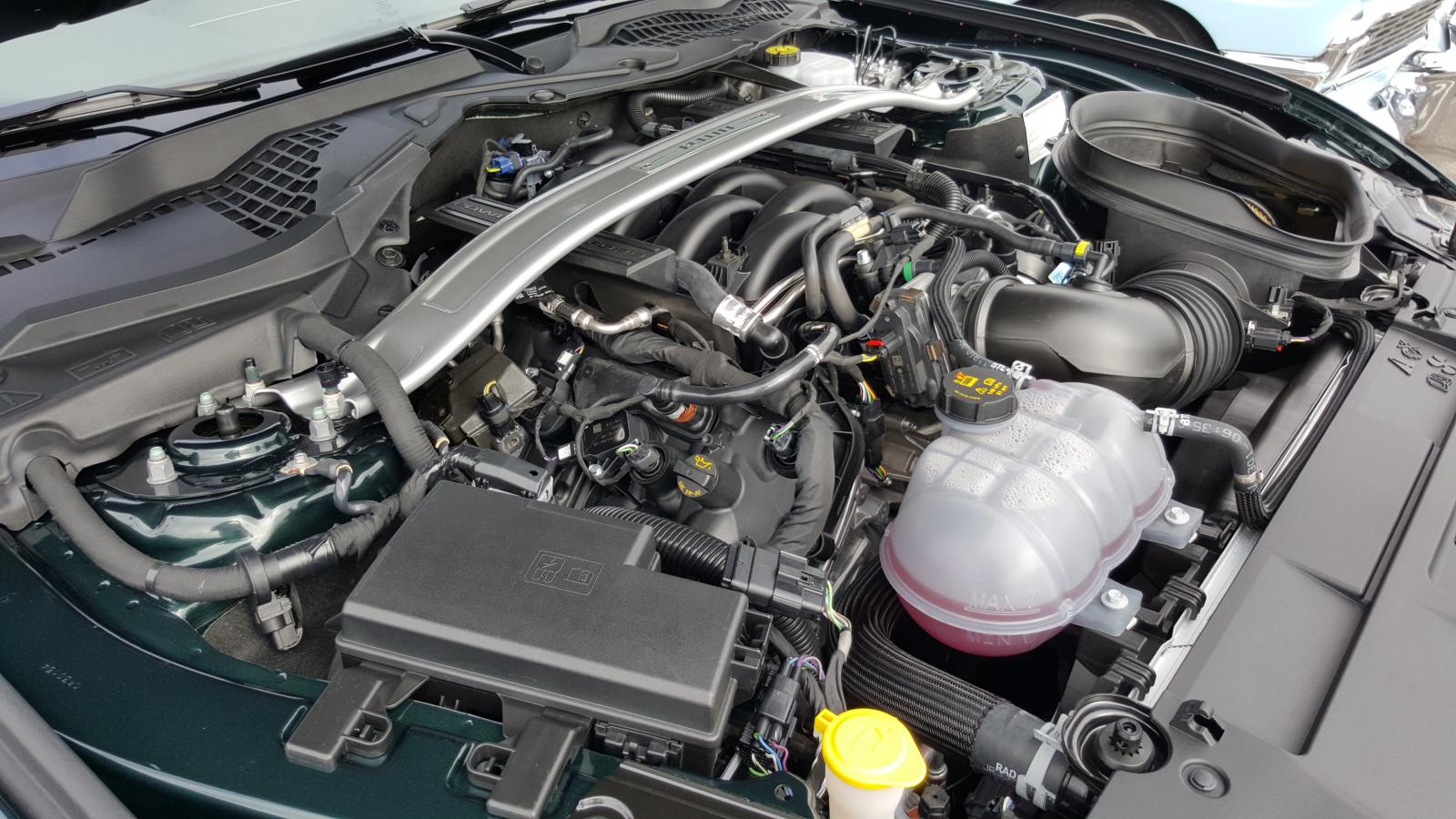 Name:  bull3.jpg
Views: 634
Size:  224.5 KB