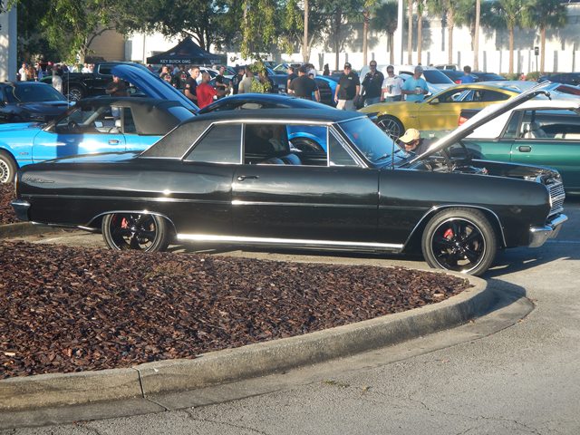 Name:  011.JPG
Views: 481
Size:  115.4 KB