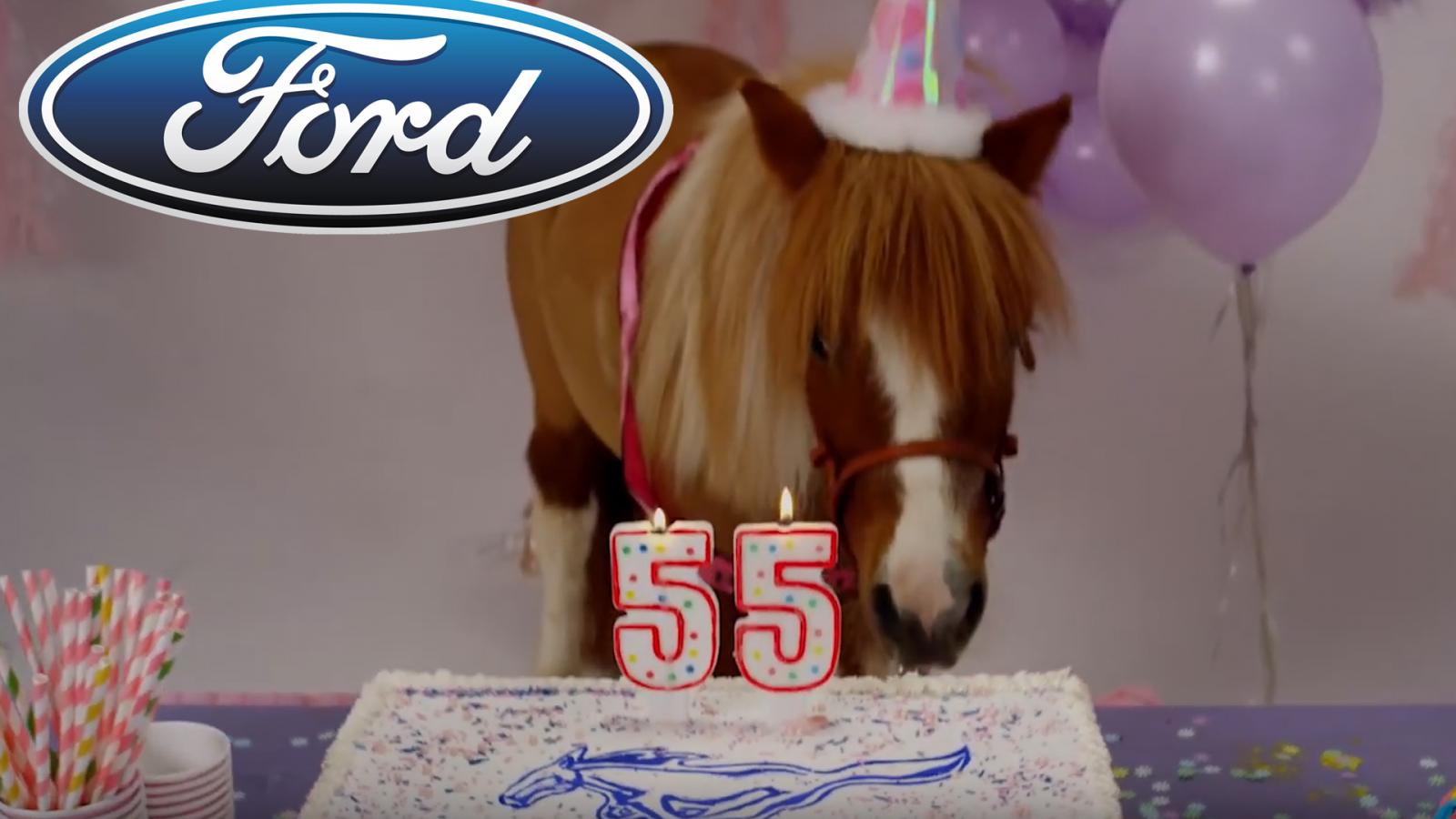 Name:  mustang_pony.jpg
Views: 643
Size:  104.4 KB