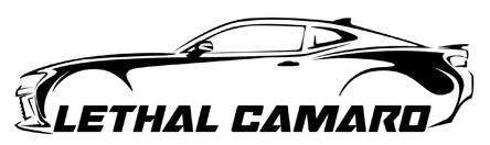 Name:  Lethal Camaro_Sm.jpg
Views: 1168
Size:  35.8 KB