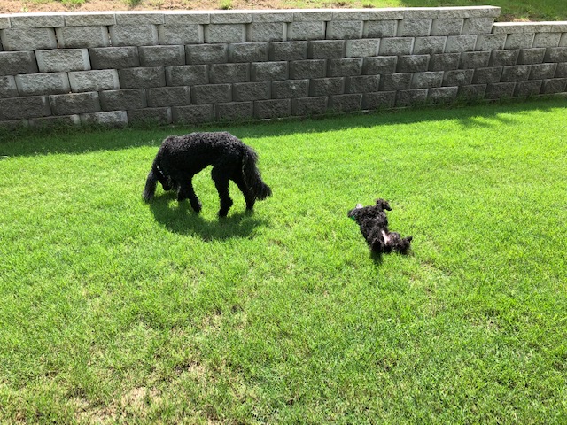 Name:  1.jpg
Views: 891
Size:  175.1 KB