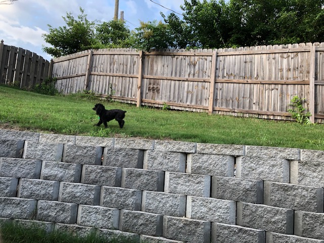 Name:  3.jpg
Views: 905
Size:  161.1 KB