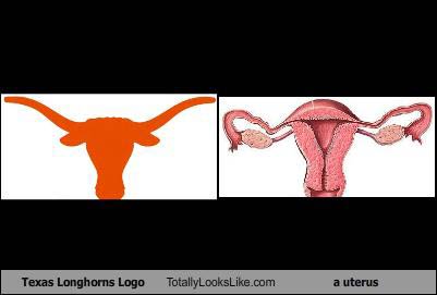 Name:  texas-longhorn-tll-uterus1.jpg
Views: 3530
Size:  11.1 KB