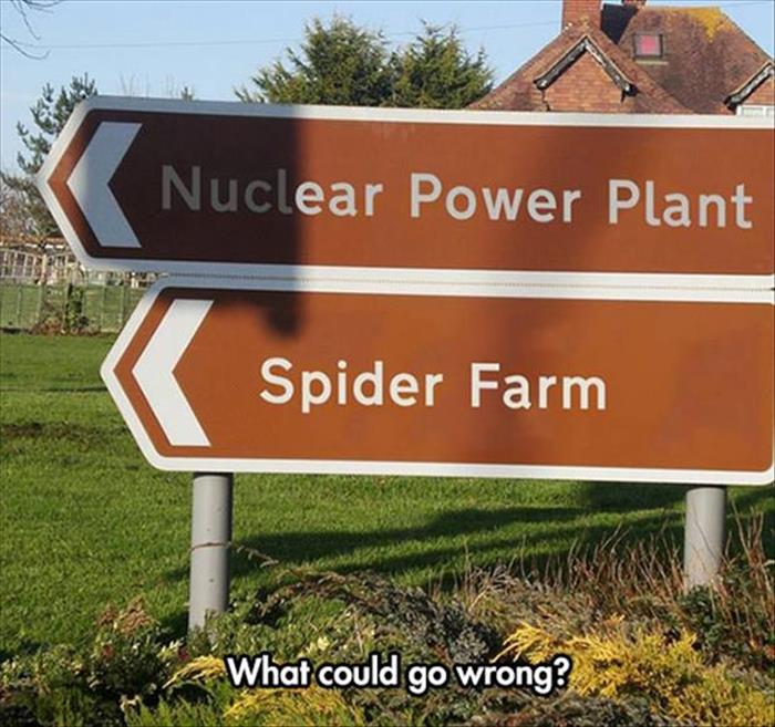 Name:  spider farm.jpg
Views: 2326
Size:  79.7 KB