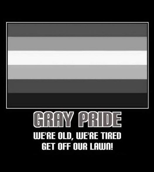 Name:  gray pride.jpg
Views: 543
Size:  21.5 KB