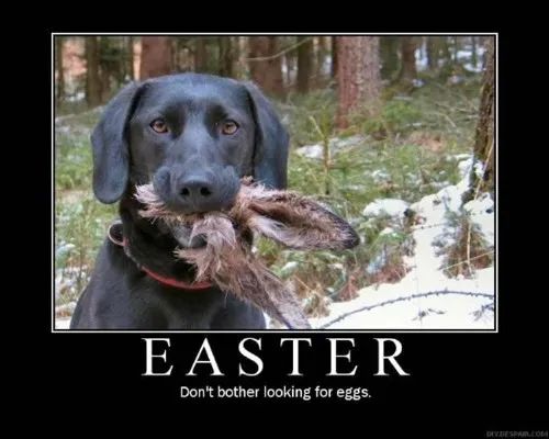 Name:  easter dog.jpg
Views: 294
Size:  32.0 KB