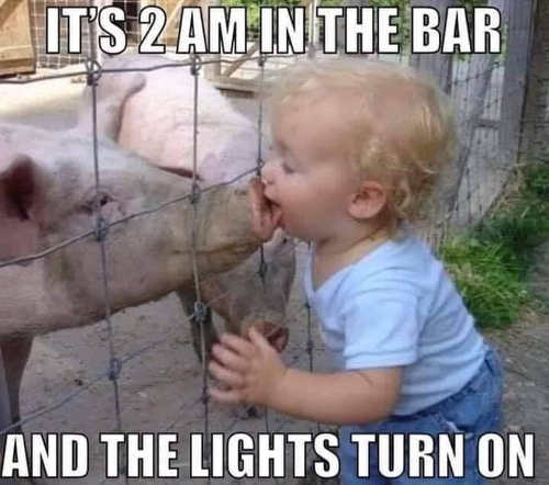 Name:  its-2am-in-bar-lights-turn-on-kissing-pig.jpg
Views: 1169
Size:  36.8 KB