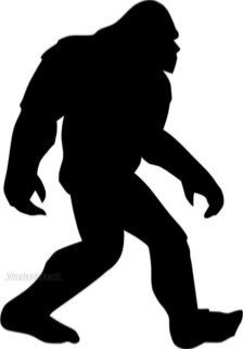 Name:  Sasquatch.jpeg
Views: 380
Size:  11.3 KB