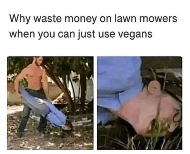 Name:  vegan lawn mower.jpg
Views: 419
Size:  43.9 KB