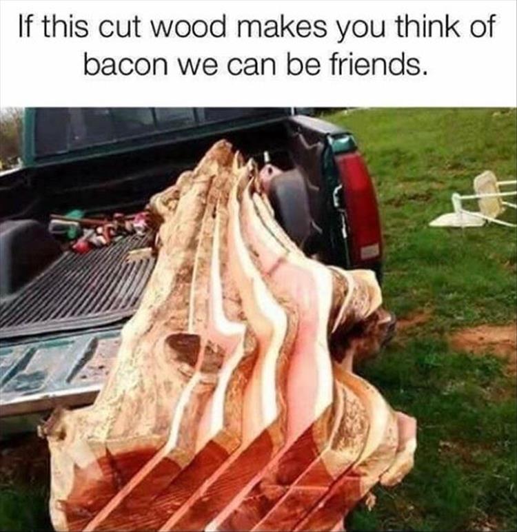 Name:  bacon wood.jpg
Views: 1493
Size:  81.9 KB