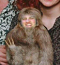 RSloth