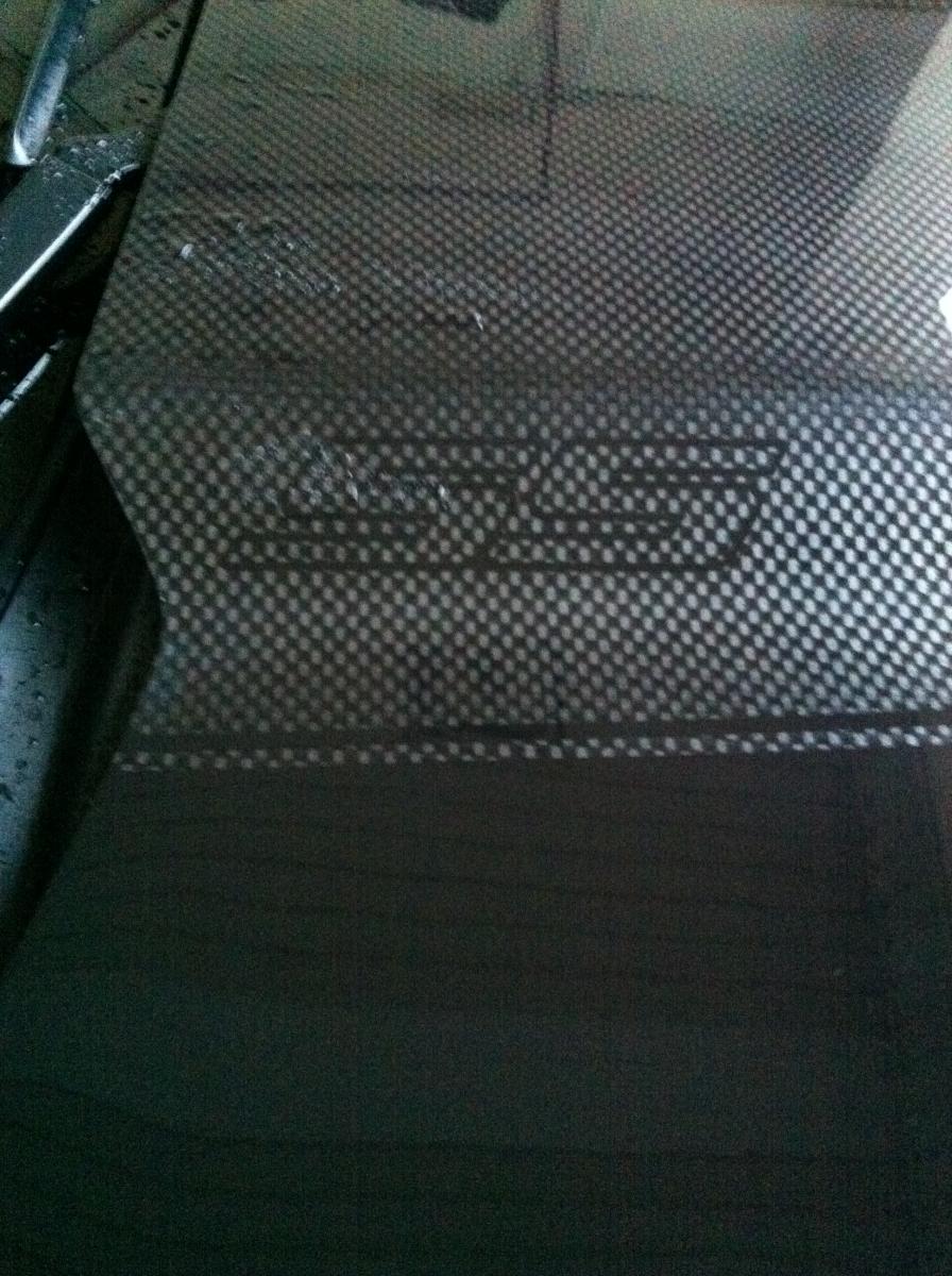 Another close up of the SS emblem embedded in the stripes