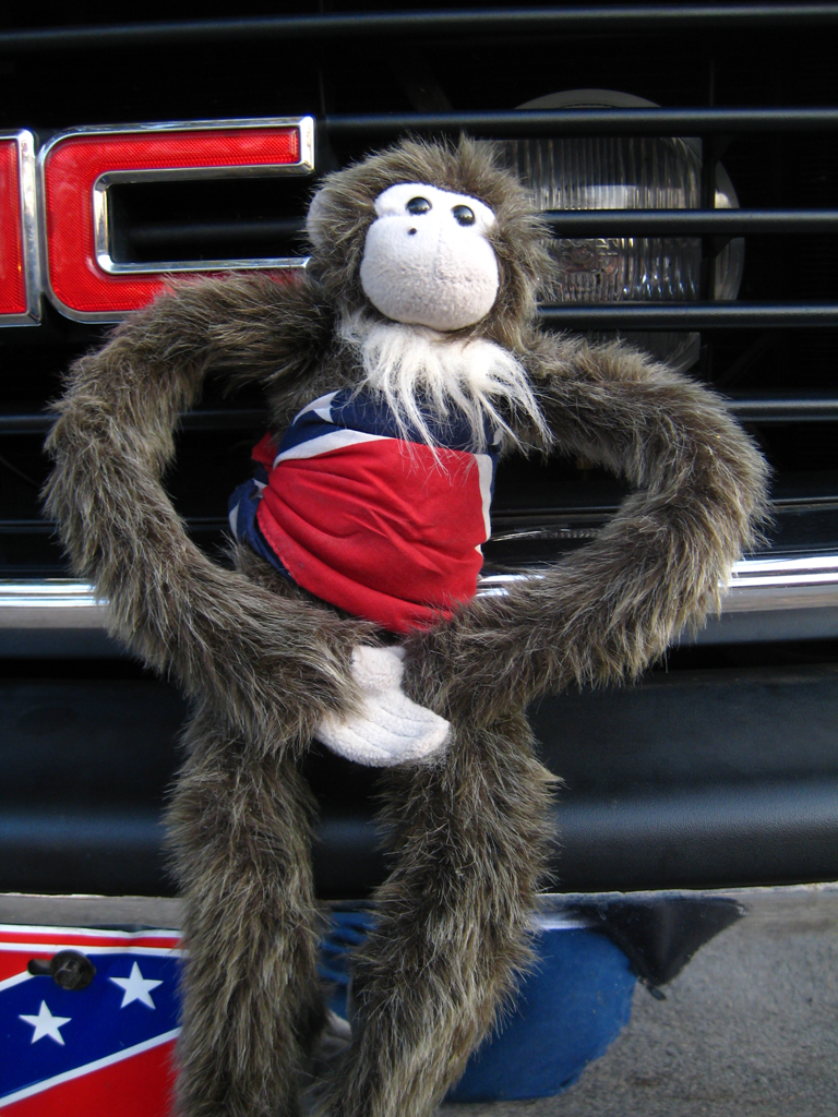 mr fuzzy - he's ridden in all my vehicles, all the time