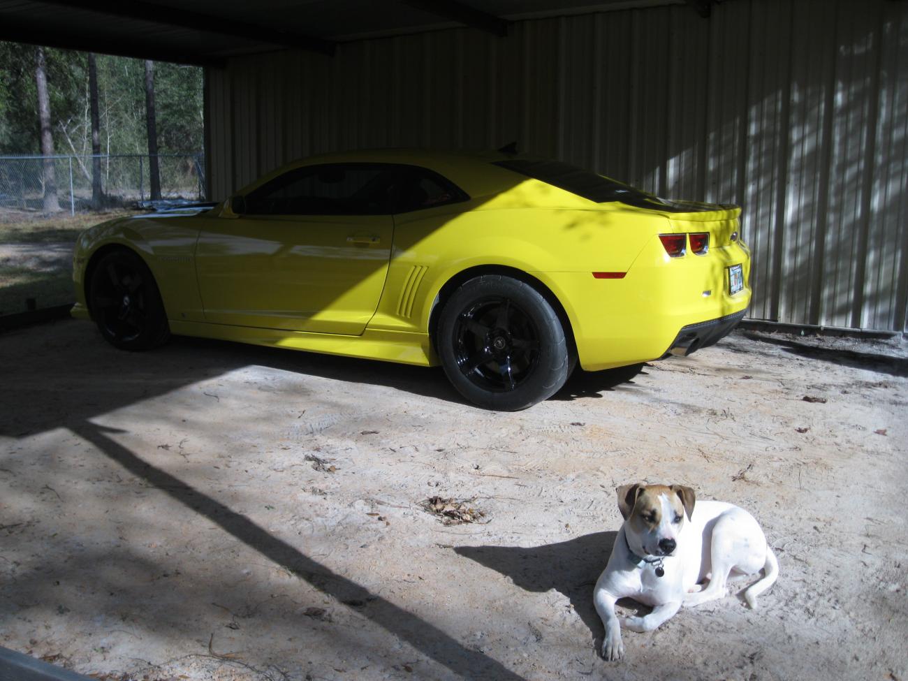 new light bar  rims and tires 016