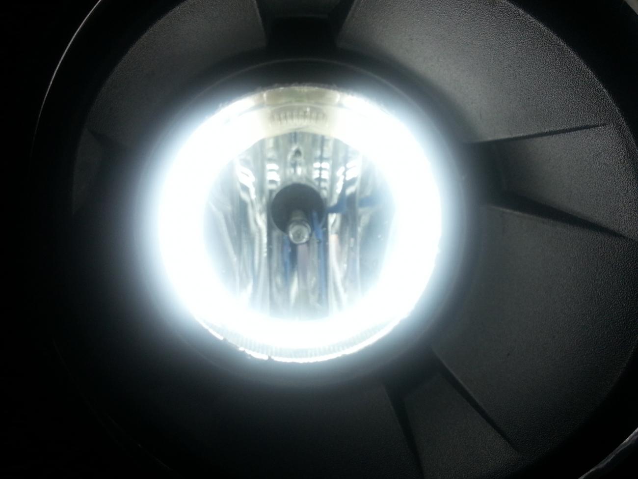 White CCFL foglights