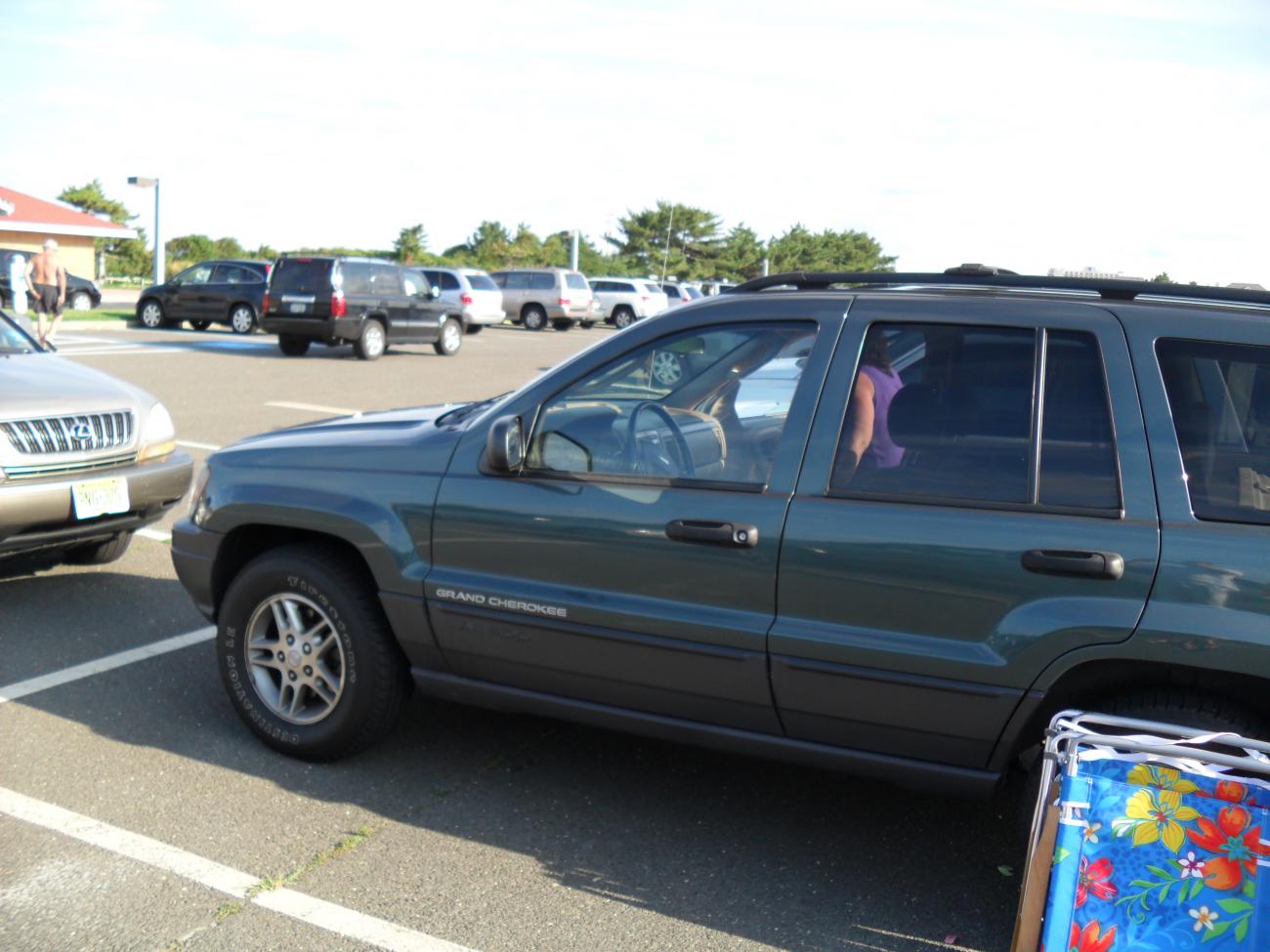 the mule ... the one that makes Maggie possible