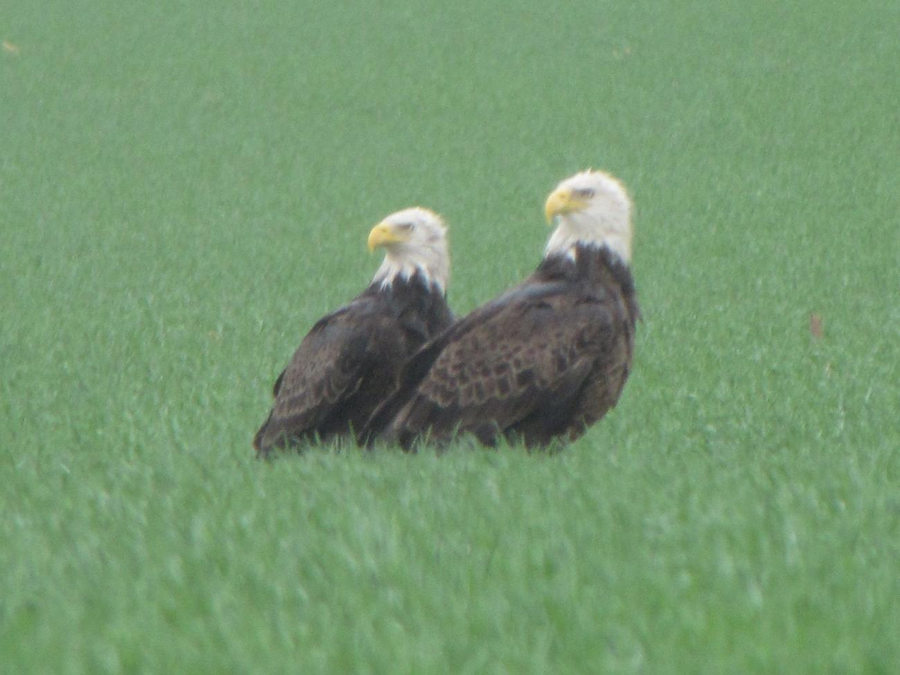 Captured this shot traveling on route 17