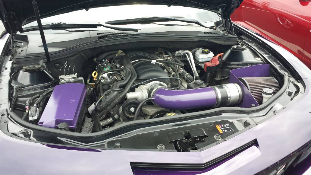 Violets guts, I think I like this color!