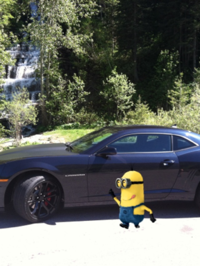 Even the minion likes it