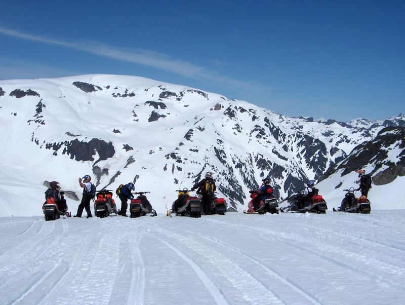 Sledding buddies from everywhere.